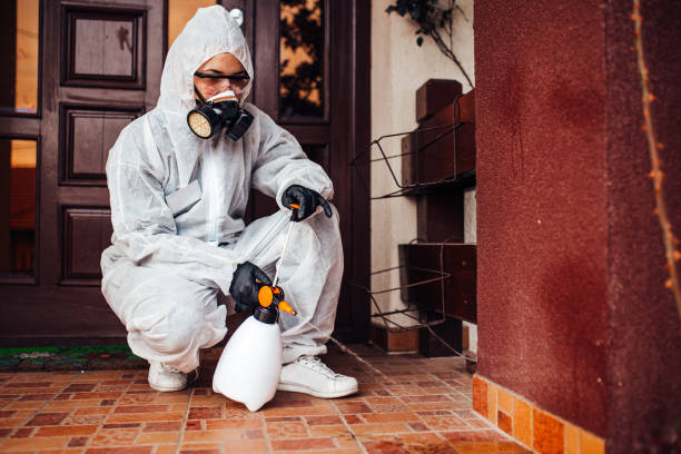 Reliable Ant Control contractor in South Jordan, UT by Nex Pest Control