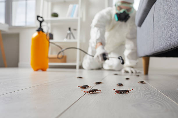 Trusted Rodent Control service in South Jordan, UT - Nex Pest Control